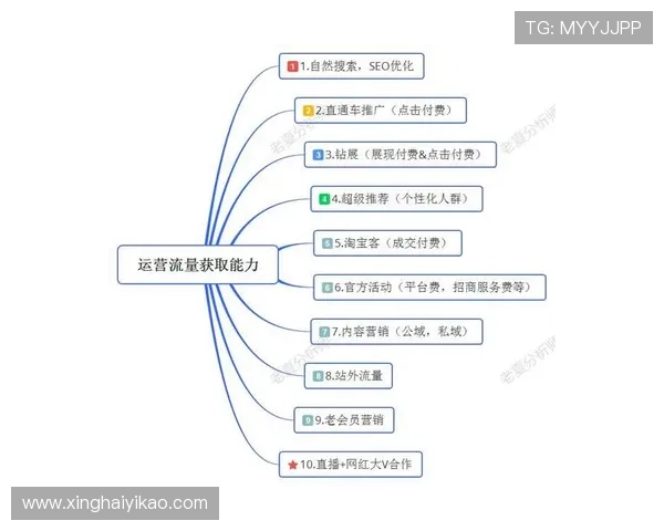 北京篮球队的整体压制策略揭秘与战术分析探讨